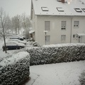 First Snow 2012c.JPG